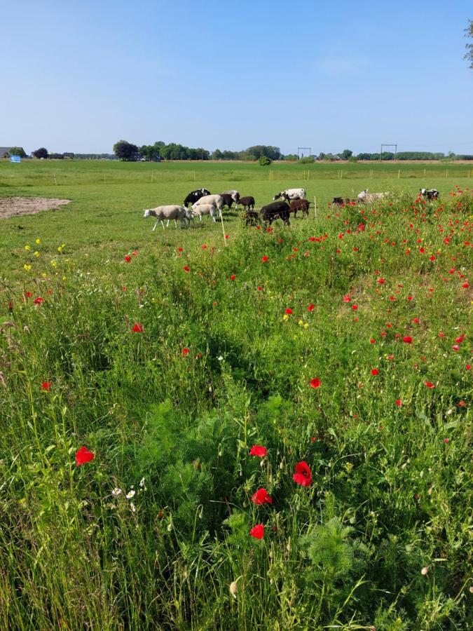 Boerderijkamer 'T Keukentje Wijhe ภายนอก รูปภาพ